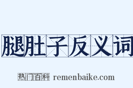 腿肚子反义词是什么意思的图片